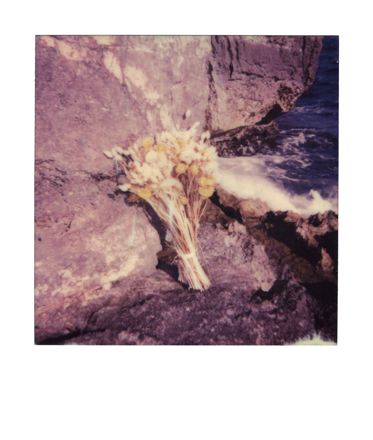 DoH_postcard-W